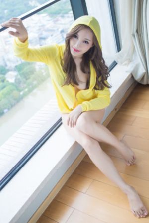 沉默的舰队