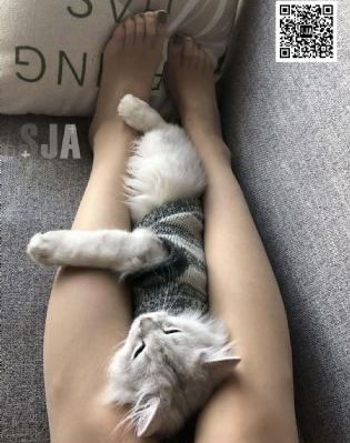 随心所欲电影