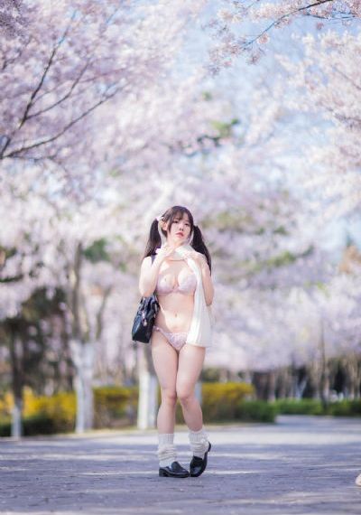 电视剧2024最新热播剧免费观看