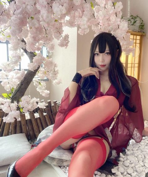 八面玲珑的申小姐