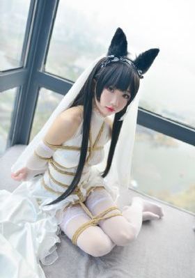 学警狙击 电视剧
