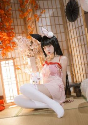 手机看片91